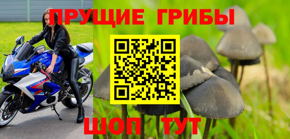 Королёв  где продают наркотики  Вход с VPN  Псилоцибиновые грибы Cubensis 