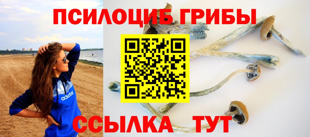 Галлюциногенные грибы мицелий Королёв